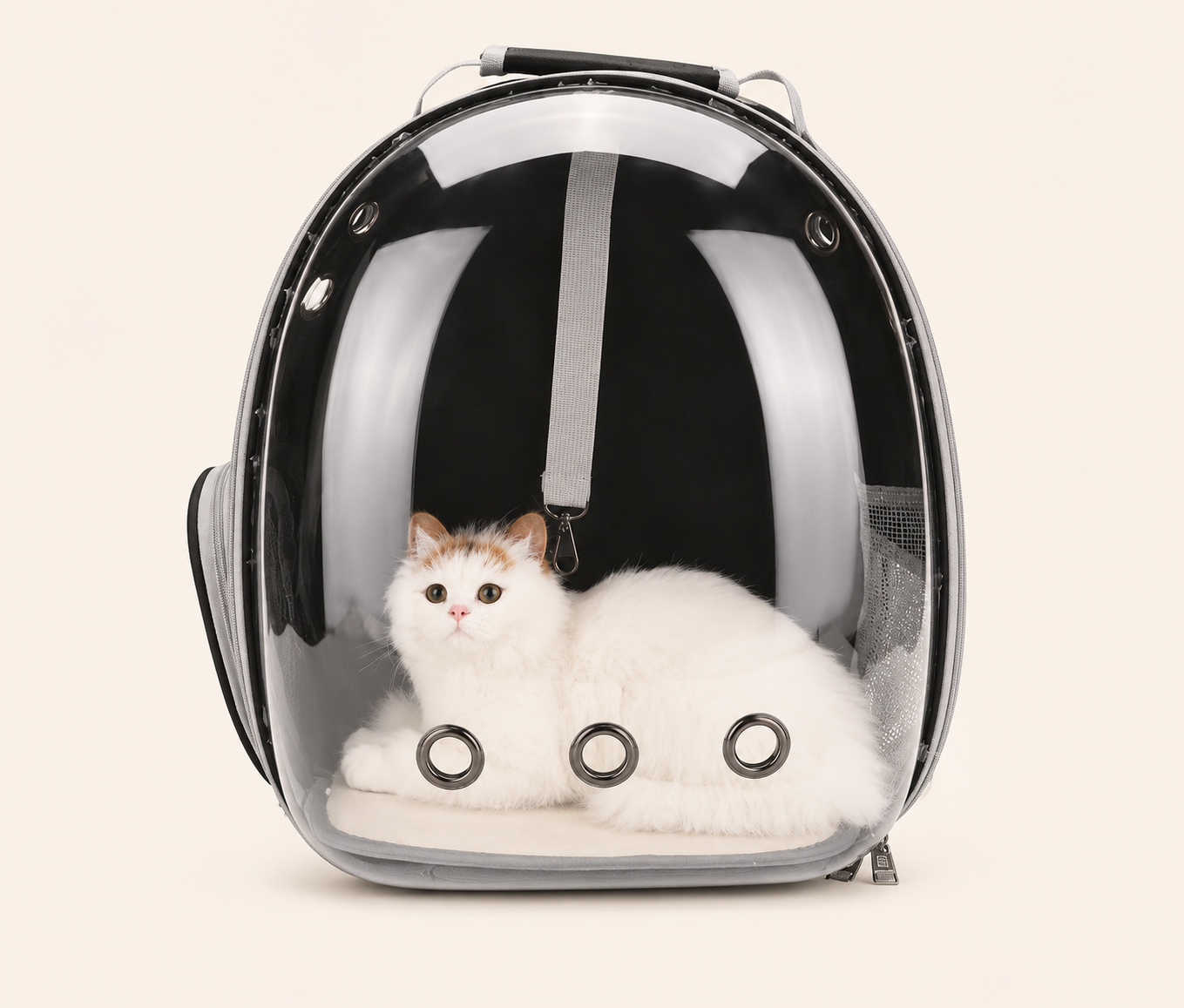 Sac de Transport Transparent Premium pour Chat et Petit Chien