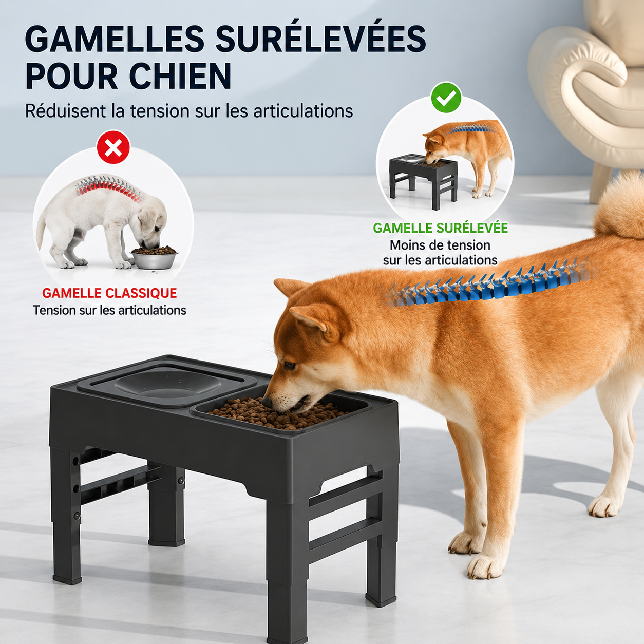 Station de Repas Surélevée Réglable pour Chien