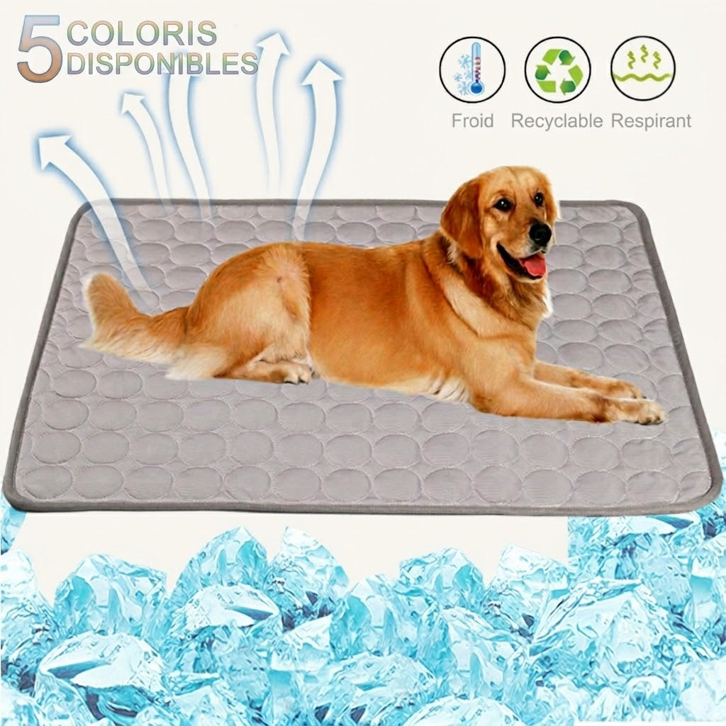 Tapis Rafraîchissant en Soie Glacée pour Chien & Chat