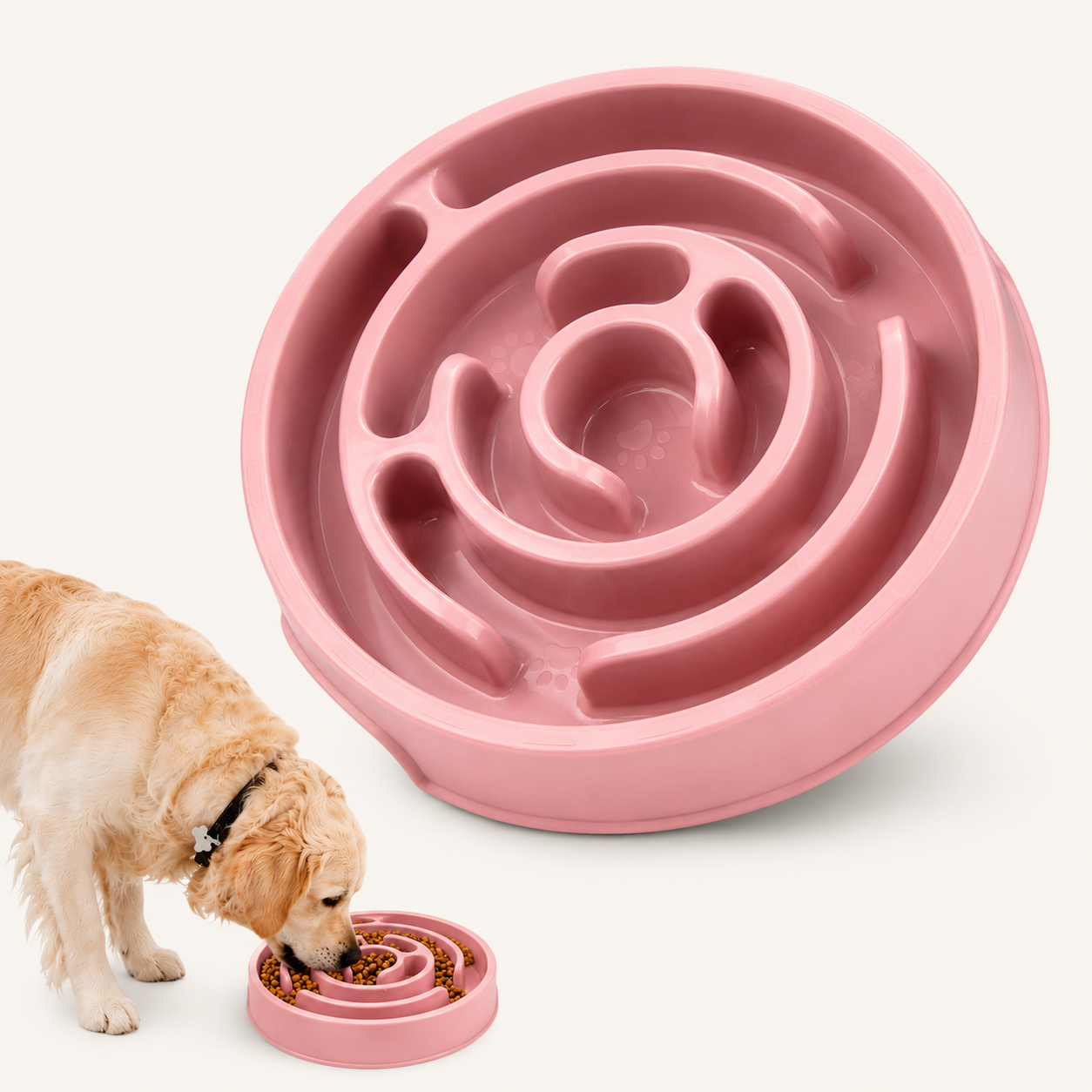 Gamelle Anti-Glouton en Silicone