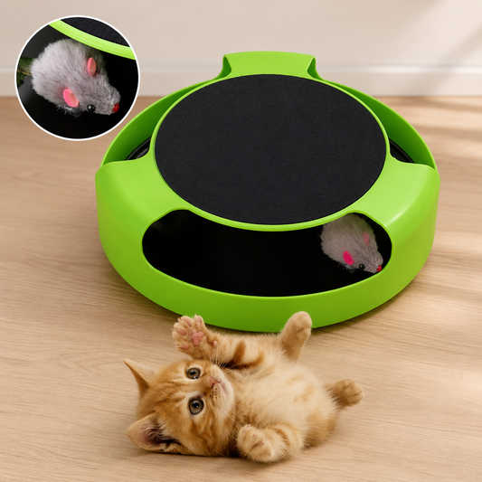 Jouet Automatique Interactif pour Chat