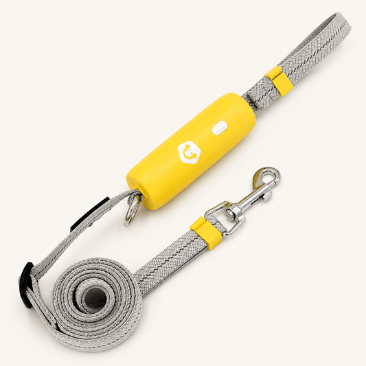 Laisse Élastique Premium pour Chien