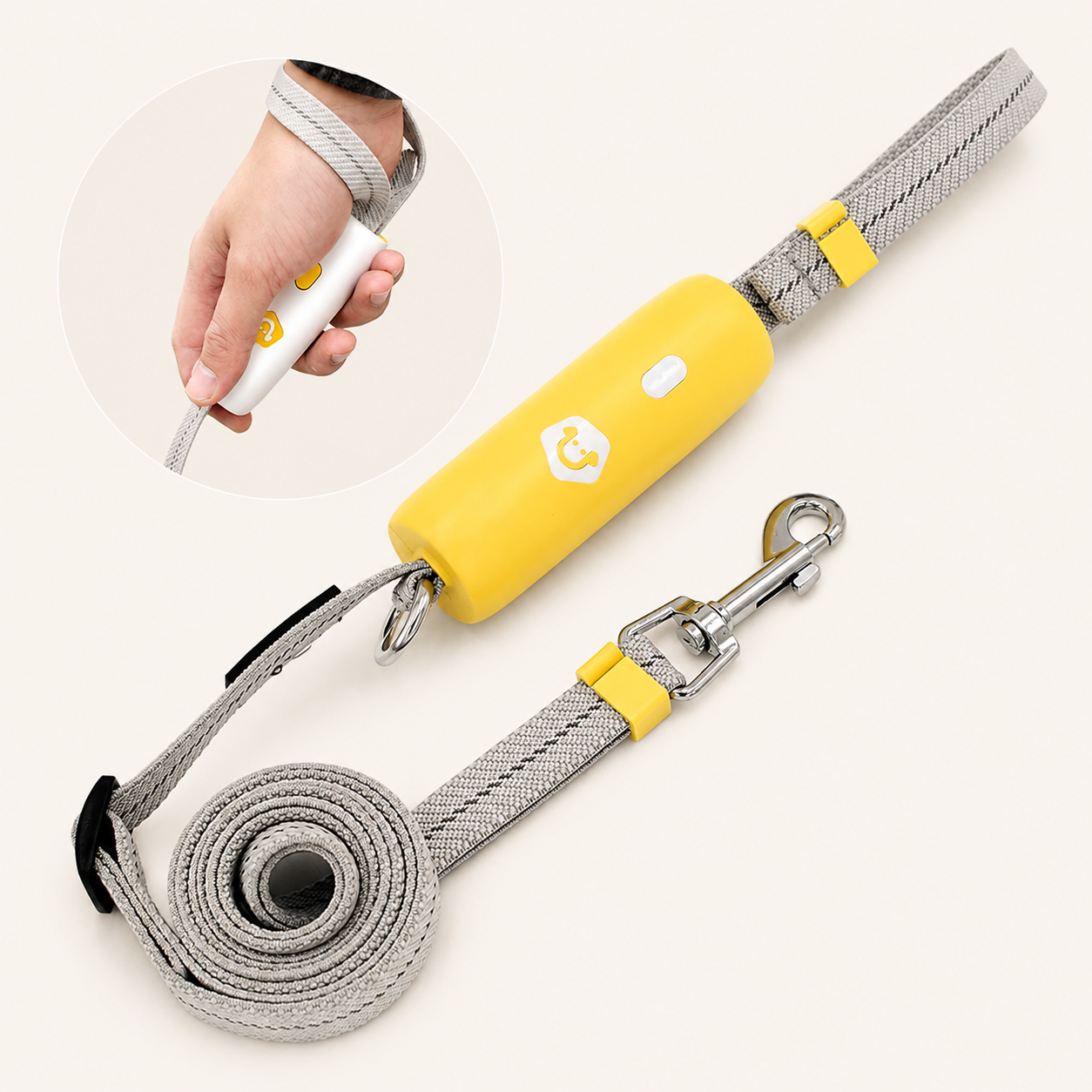 Laisse Élastique Premium pour Chien