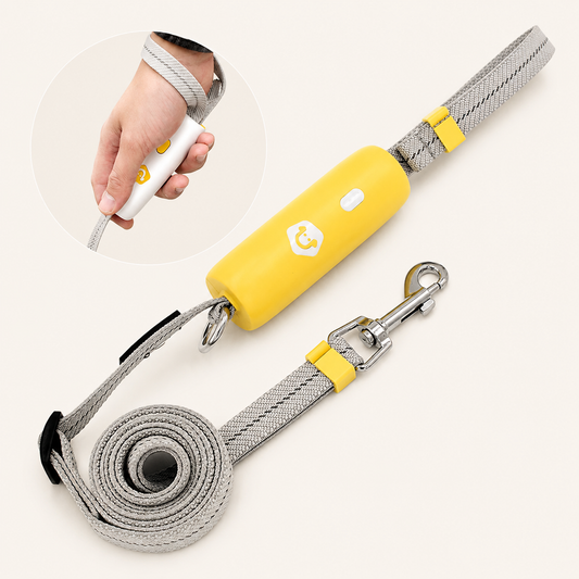 Laisse Élastique Premium pour Chien
