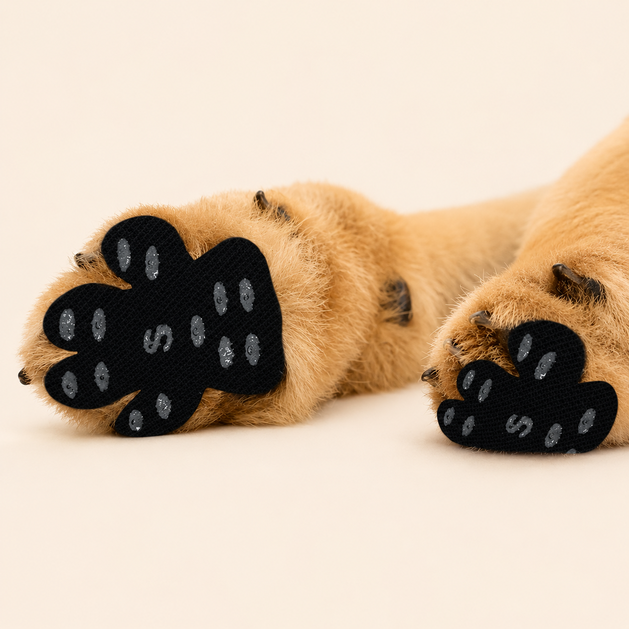 Protecteurs de Pattes Premium Canily™ – waterproof