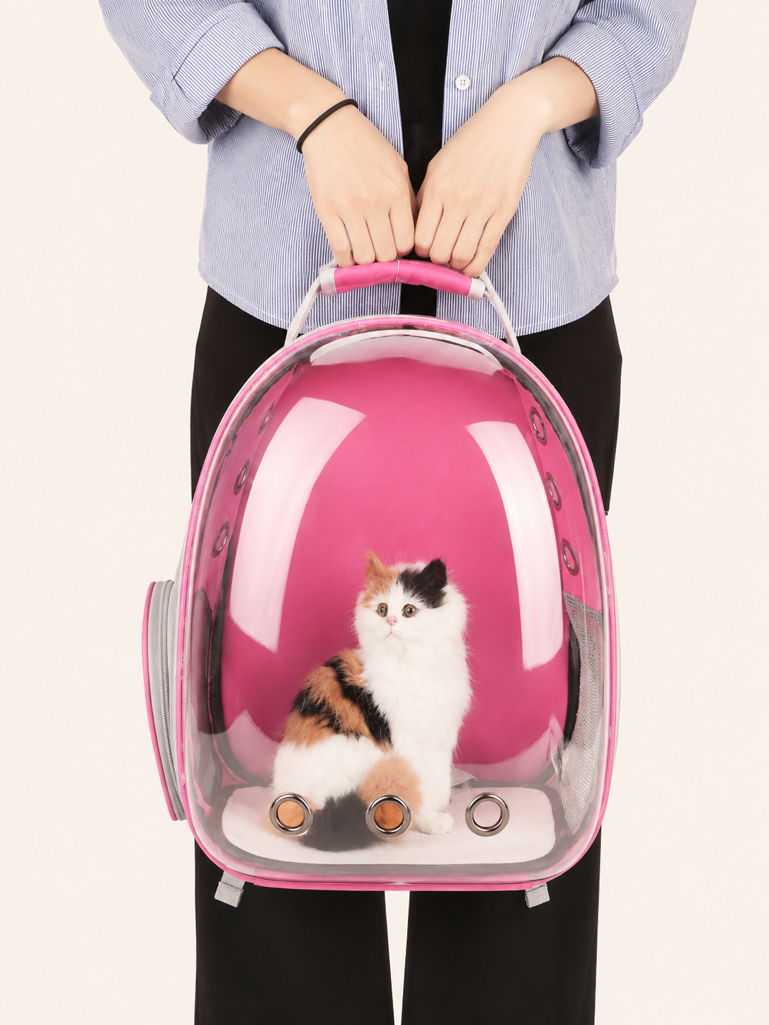Sac de Transport Transparent Premium pour Chat et Petit Chien