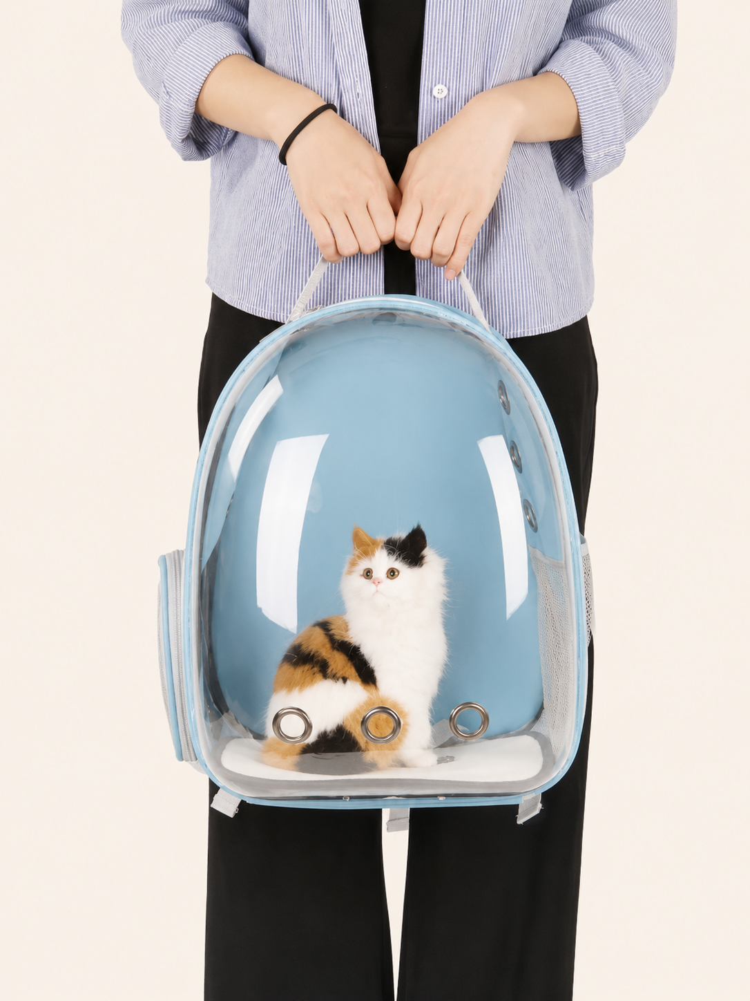Sac de Transport Transparent Premium pour Chat et Petit Chien