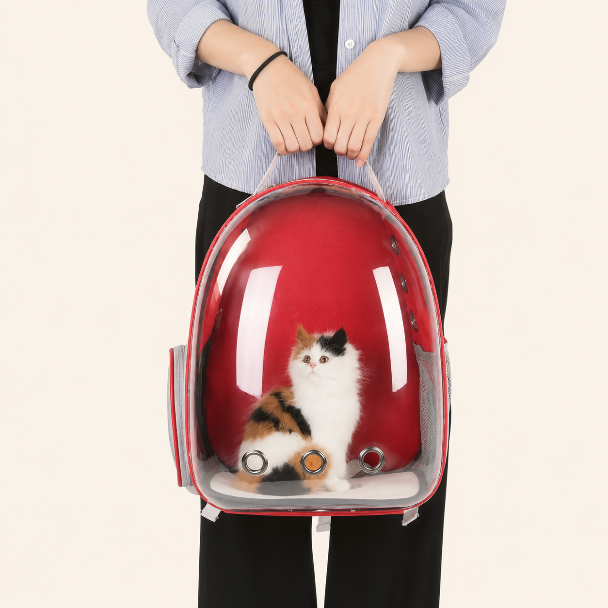 Sac de Transport Transparent Premium pour Chat et Petit Chien